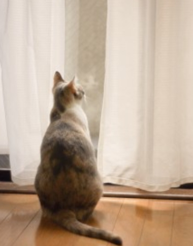 ラテ (2) アナル専門女性用風俗 Butt-ique / 出張性感マッサージ