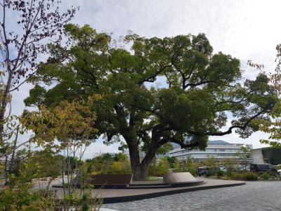 タカシ (46) 高松 萬天堂 / 出張性感マッサージ