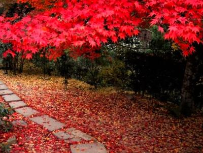 はると (55) 大阪 萬天堂 / 出張性感マッサージ