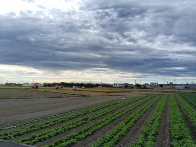 fumiya (46) 鹿児島 萬天堂 / 出張性感マッサージ