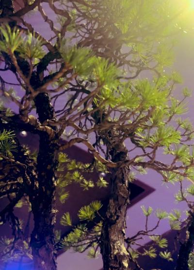 亜呂 (49) 水戸 萬天堂 / 出張性感マッサージ