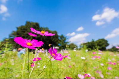龍生 (47) 大宮 萬天堂 / 出張性感マッサージ