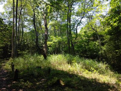 タカシ (46) 高松 萬天堂 / 出張性感マッサージ