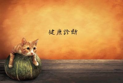 MIYABI (40) 信州 萬天堂 / 出張性感マッサージ