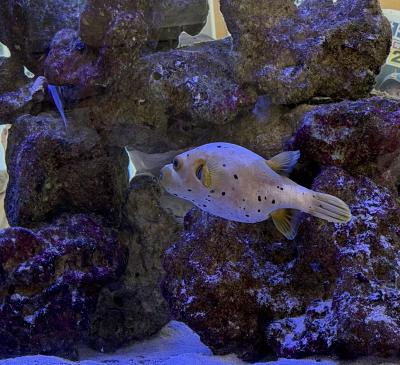 ゆうあ (32) 名古屋 萬天堂 / 出張性感マッサージ