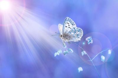 龍生 (47) 大宮 萬天堂 / 出張性感マッサージ