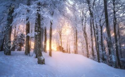 かおる (37) 広島 萬天堂 / 出張性感マッサージ
