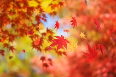 真樹 (25) 福岡 萬天堂 / 出張性感マッサージ