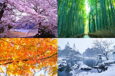 恭介 (48) 京都 萬天堂 / 出張性感マッサージ