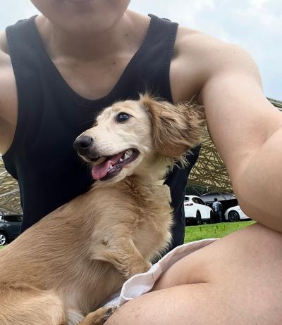 風羽 (34) 京都 萬天堂 / 出張性感マッサージ