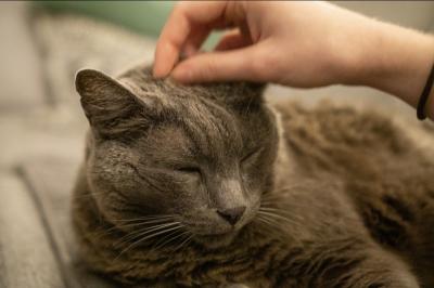 なおと (57) 東京 萬天堂 / 出張性感マッサージ