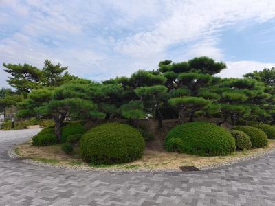 タカシ (46) 高松 萬天堂 / 出張性感マッサージ