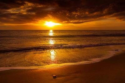 龍生 (47) 大宮 萬天堂 / 出張性感マッサージ