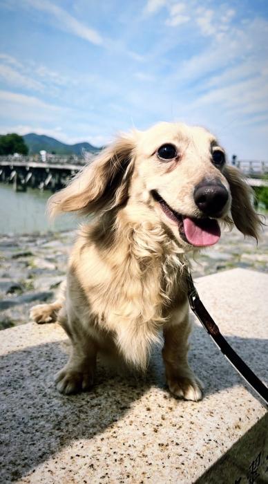 風羽 (34) 京都 萬天堂 / 出張性感マッサージ