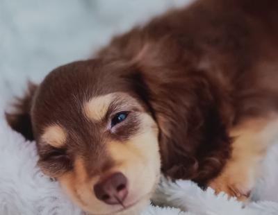 平政 (45) 広島 萬天堂 / 出張性感マッサージ