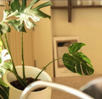 なおと (57) 東京 萬天堂 / 出張性感マッサージ