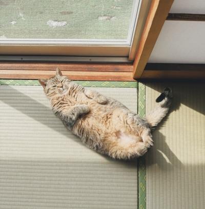 MIYABI (40) 信州 萬天堂 / 出張性感マッサージ