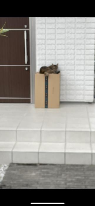 こはる (28) 名古屋 萬天堂 / 出張性感マッサージ