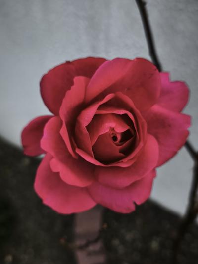 ぬくもりに触れる幸せ みちる (43) 大阪府（出張性感マッサージ