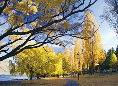 恭介 (48) 京都 萬天堂 / 出張性感マッサージ