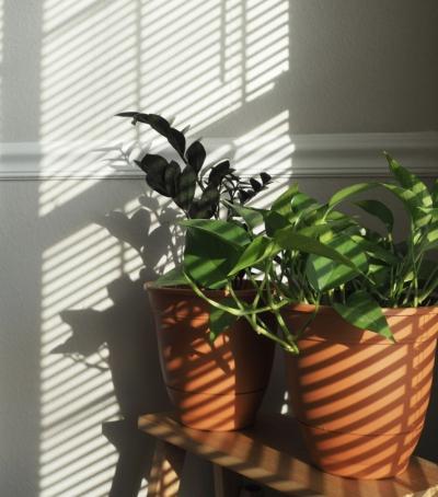 なおと (57) 東京 萬天堂 / 出張性感マッサージ