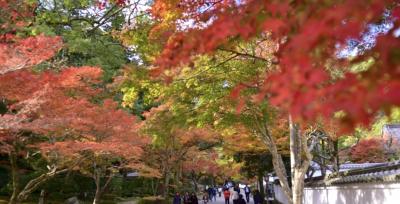 あいく (46) 大阪 萬天堂 / 出張性感マッサージ