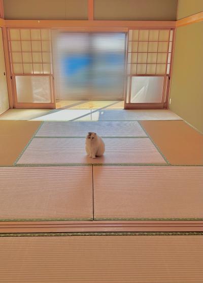 佑鳳 (30) 下関 萬天堂 / 出張性感マッサージ