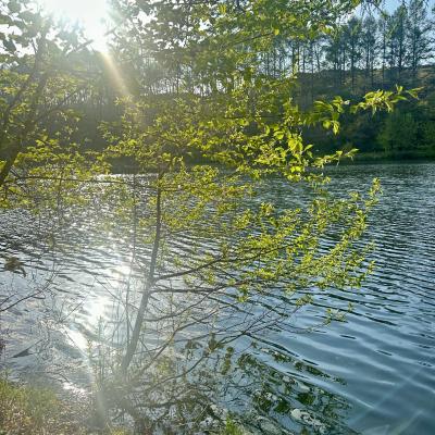 明咲 (25) 信州 萬天堂 / 出張性感マッサージ