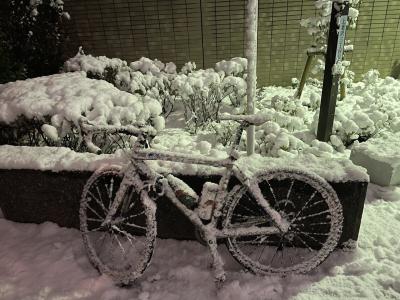 蔵人 (33) 東京 萬天堂 / 出張性感マッサージ