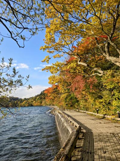 アキラ (44) 盛岡 萬天堂 / 出張性感マッサージ