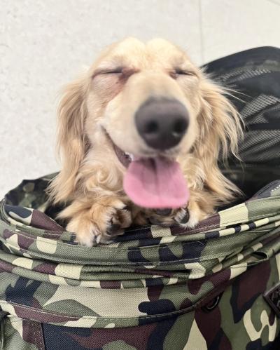 風羽 (34) 京都 萬天堂 / 出張性感マッサージ