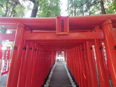 碧斗 (33) 富山 萬天堂 / 出張性感マッサージ