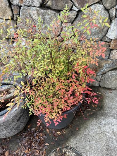 佳樹 (39) 水戸 萬天堂 / 出張性感マッサージ