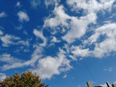 はんにゃ (39) 立川 萬天堂 / 出張性感マッサージ