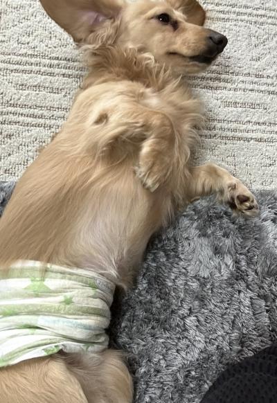 風羽 (34) 京都 萬天堂 / 出張性感マッサージ