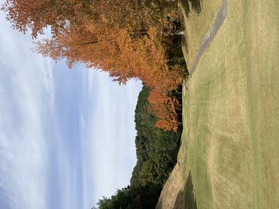 あいのすけ (51) 高崎 萬天堂 / 出張性感マッサージ