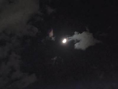 タカシ (46) 高松 萬天堂 / 出張性感マッサージ