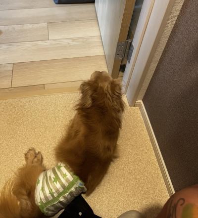 風羽 (34) 京都 萬天堂 / 出張性感マッサージ