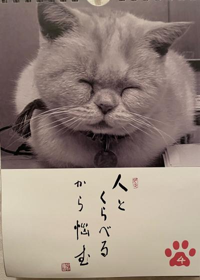 静 (60) 名古屋 萬天堂 / 出張性感マッサージ