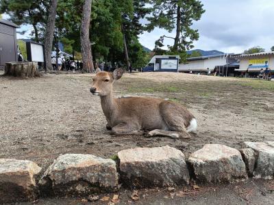 浅葱 (51) 岐阜 萬天堂 / 出張性感マッサージ
