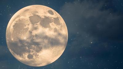 スーパームーン… 陵 (42) 長崎県（出張性感マッサージ