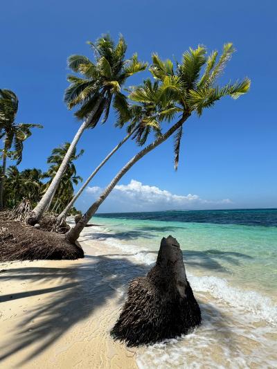 和正 (49) 名古屋 萬天堂 / 出張性感マッサージ