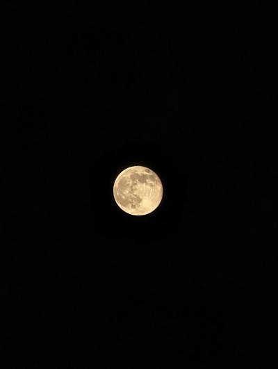 啓介 (30) 岐阜 萬天堂 / 出張性感マッサージ