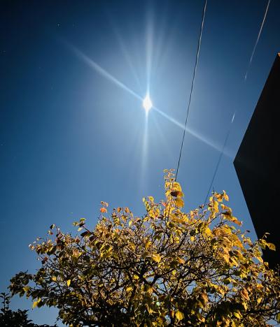 慶次 (46) 四日市 萬天堂 / 出張性感マッサージ