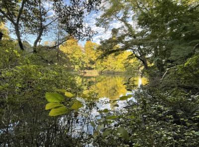 蔵人 (33) 東京 萬天堂 / 出張性感マッサージ
