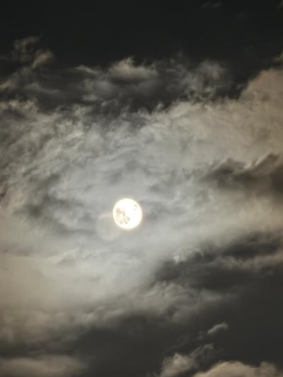 RYU (40) 東京 萬天堂 / 出張性感マッサージ