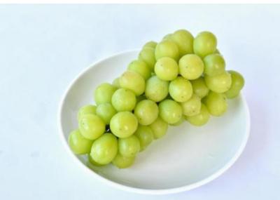 獠 (54) 大宮 萬天堂 / 出張性感マッサージ