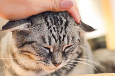 MIYABI (40) 信州 萬天堂 / 出張性感マッサージ