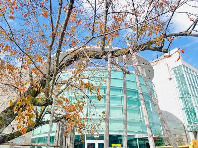 慶次 (46) 四日市 萬天堂 / 出張性感マッサージ