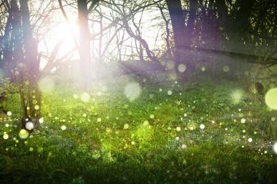 龍生 (47) 大宮 萬天堂 / 出張性感マッサージ